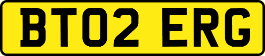 BT02ERG