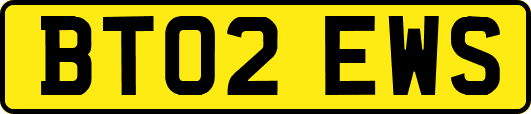 BT02EWS