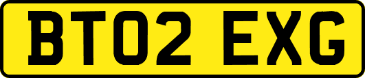BT02EXG