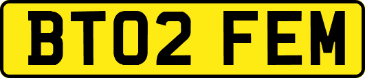 BT02FEM