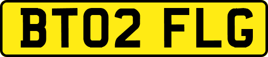 BT02FLG