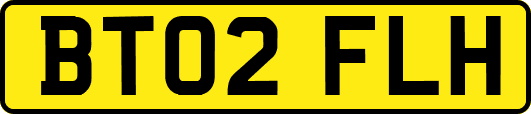 BT02FLH