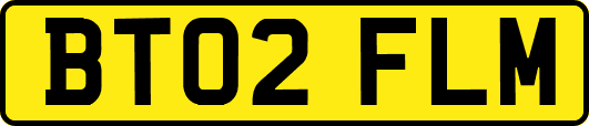 BT02FLM