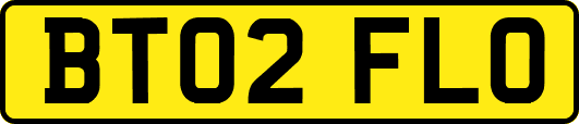 BT02FLO