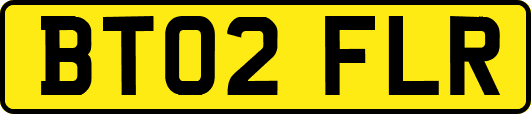 BT02FLR