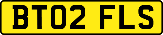 BT02FLS