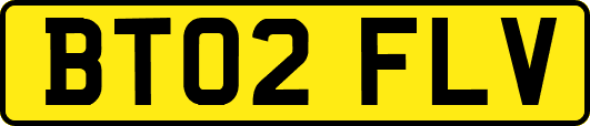 BT02FLV