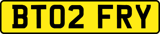 BT02FRY