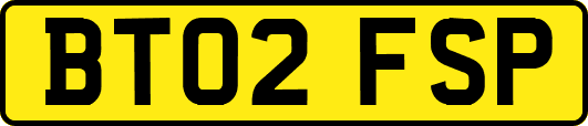 BT02FSP