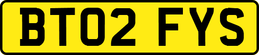 BT02FYS