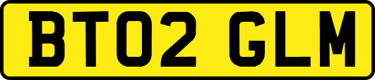 BT02GLM