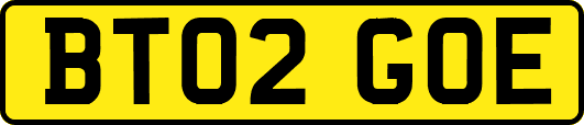 BT02GOE
