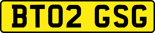 BT02GSG