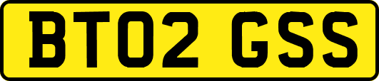 BT02GSS