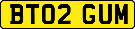 BT02GUM