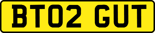 BT02GUT