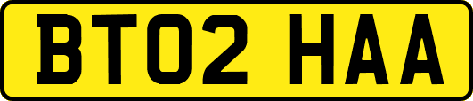 BT02HAA