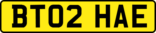 BT02HAE