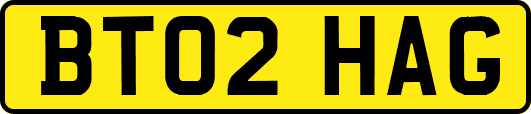 BT02HAG