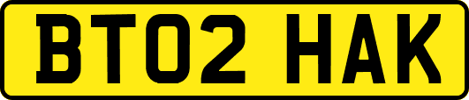 BT02HAK