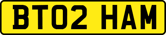 BT02HAM