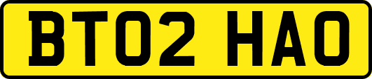 BT02HAO