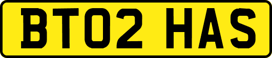 BT02HAS