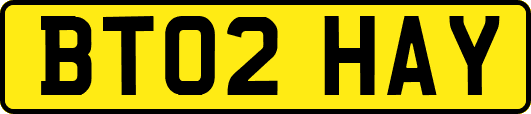 BT02HAY