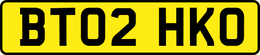 BT02HKO