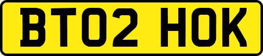 BT02HOK