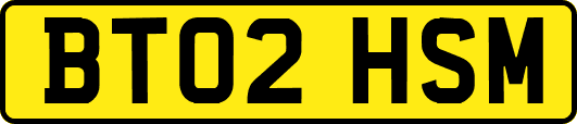 BT02HSM