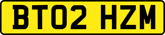 BT02HZM