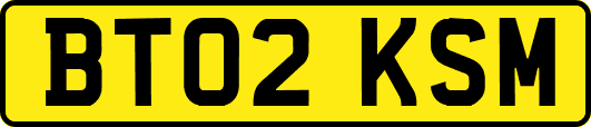 BT02KSM