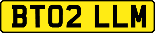 BT02LLM