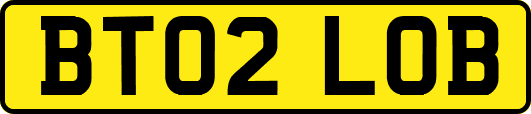 BT02LOB