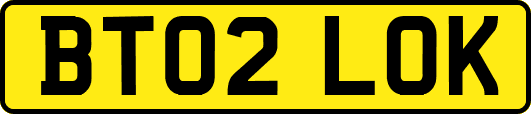 BT02LOK