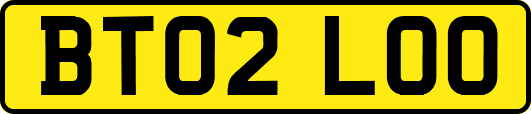 BT02LOO