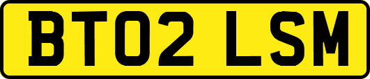 BT02LSM