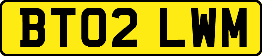 BT02LWM