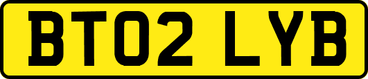 BT02LYB