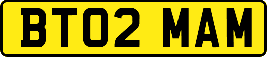 BT02MAM