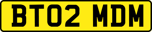 BT02MDM