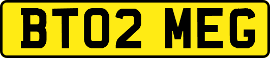 BT02MEG