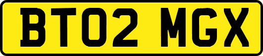 BT02MGX