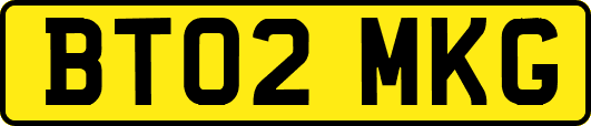 BT02MKG