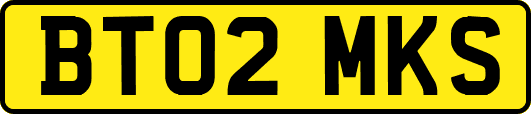 BT02MKS