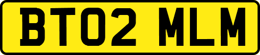 BT02MLM