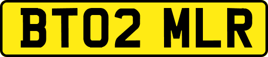 BT02MLR