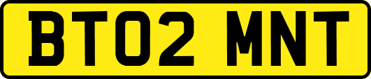 BT02MNT