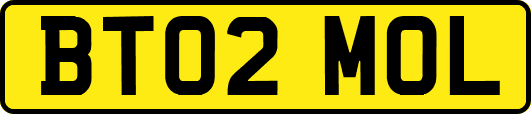 BT02MOL